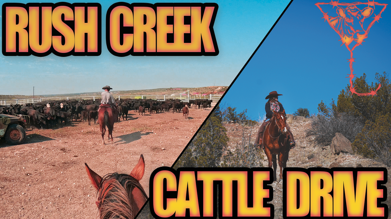 Cowboy Gets BUCKED Off Horse | Texas Cattle Drive