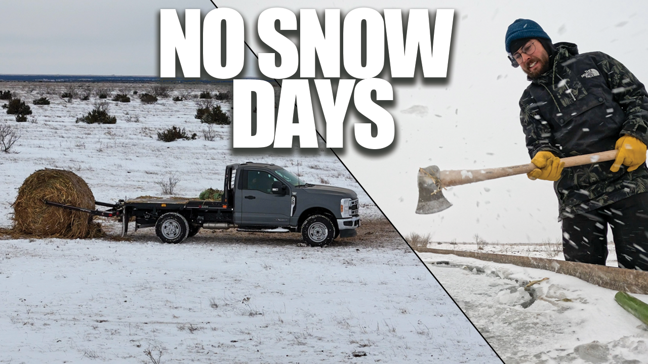 Monster Snowstorm Hits the Ranch