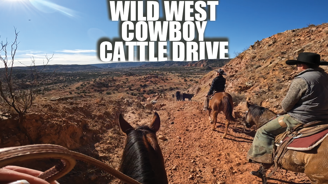 1,000 FEET DOWN | AMERICA'S 2ND LARGEST CANYON