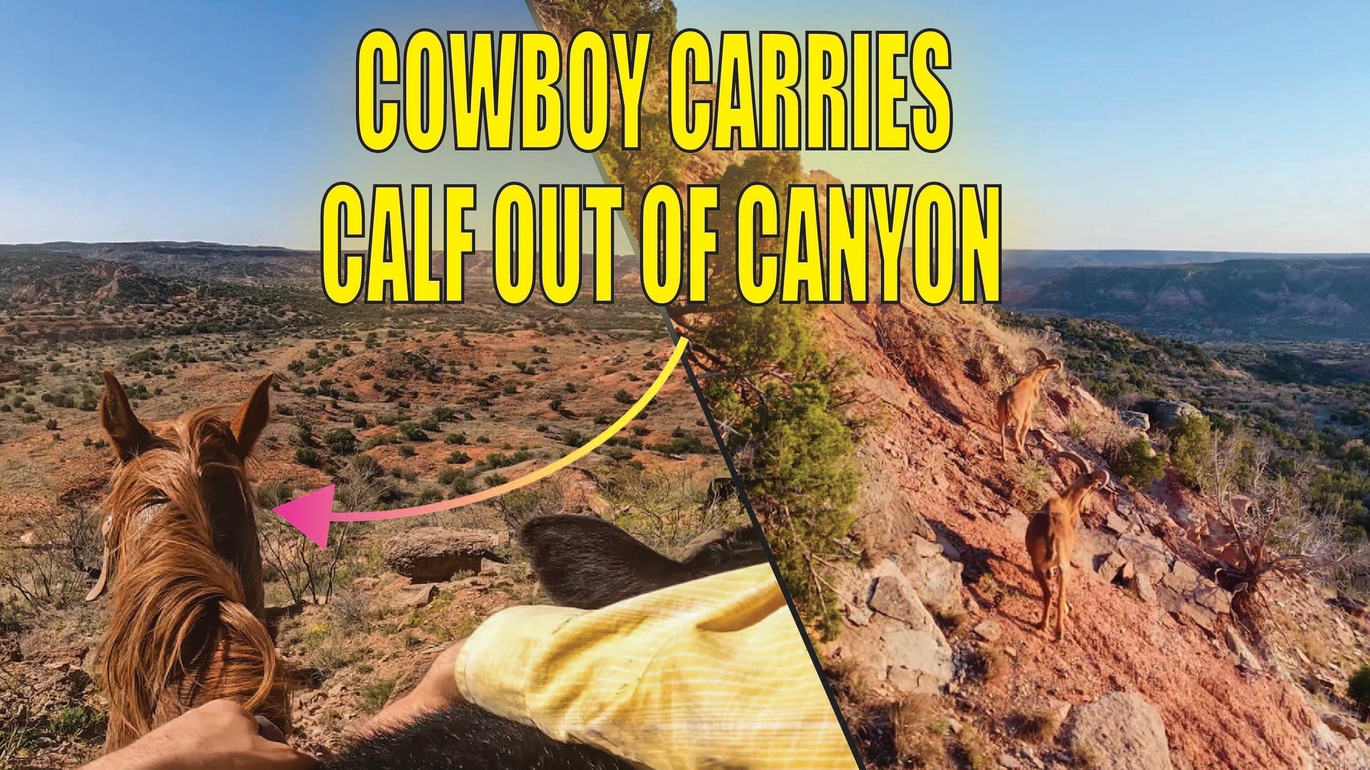 The Cowboy Corner Edition 12 Vol.2