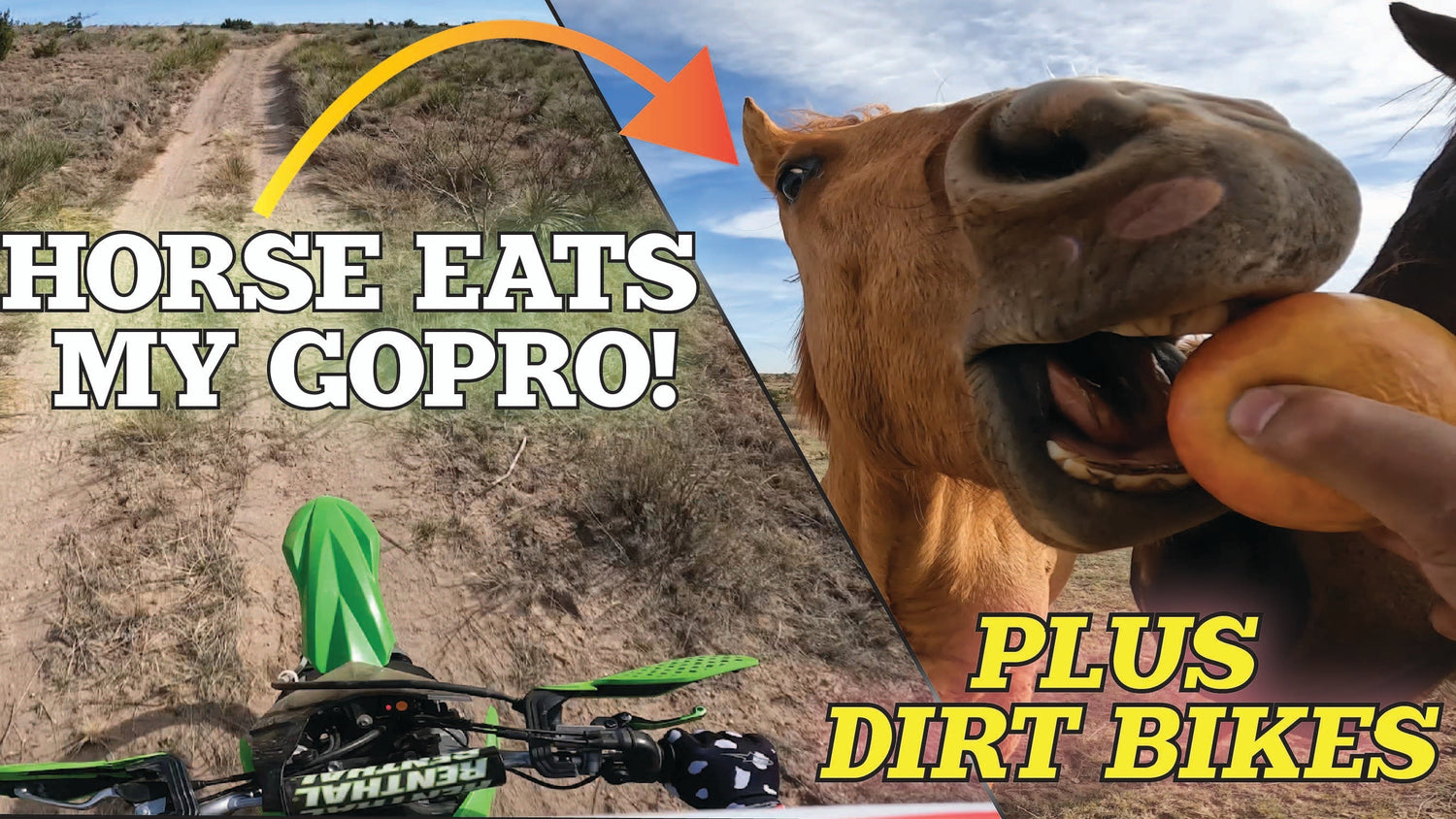 The Cowboy Corner Edition 10 Vol.2