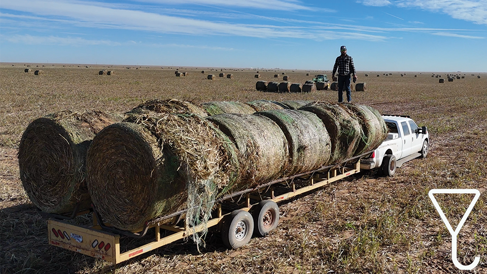 1 Man vs 400 Bales | How Ranchers Feed Huge Herds