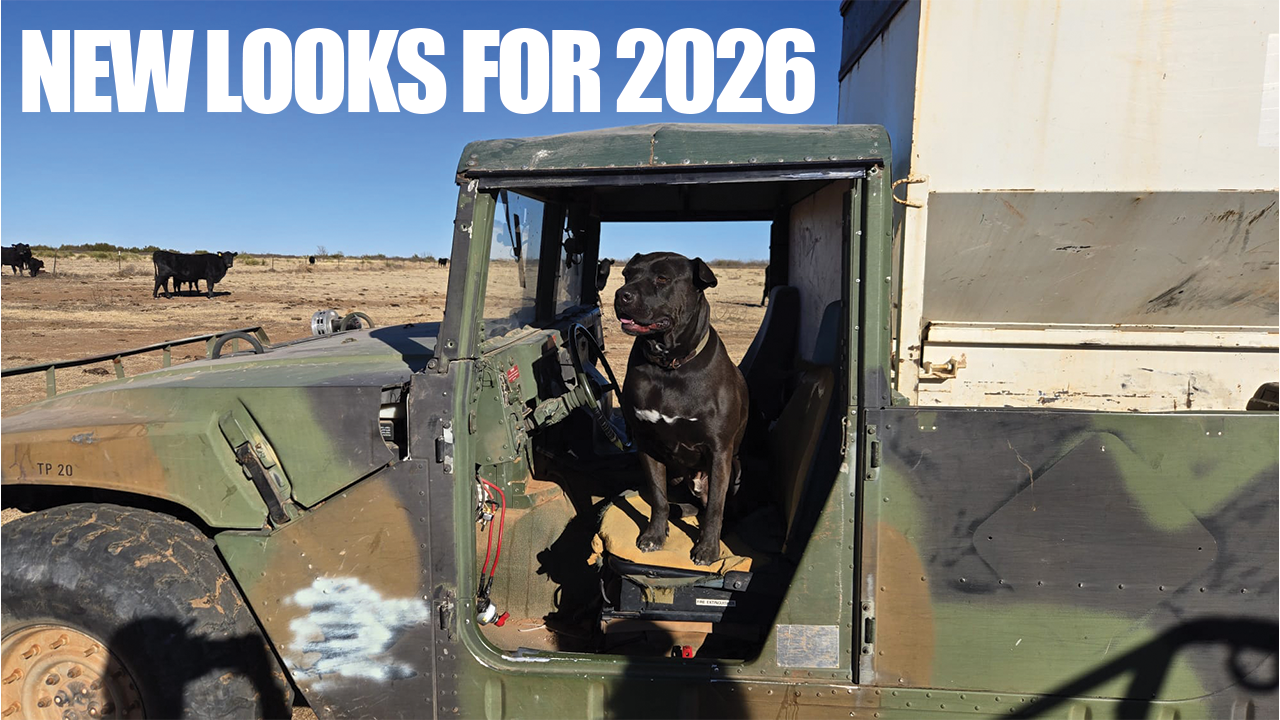 A Quick Update | Big Things For 2026