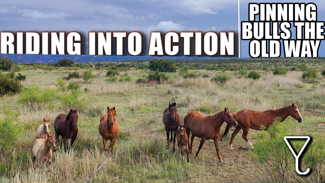 Bringing in the Bulls | A Day of Ranch Work