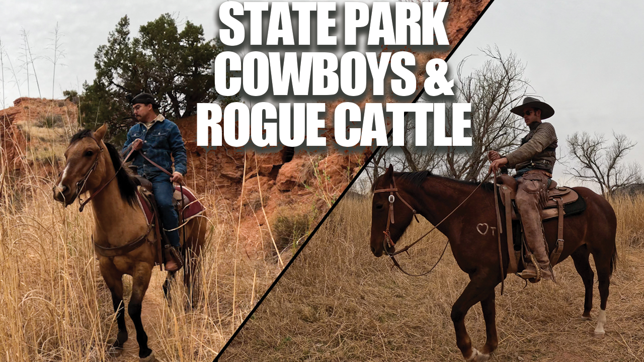 Rogue Cattle Break Into Palo Duro Canyon State Park