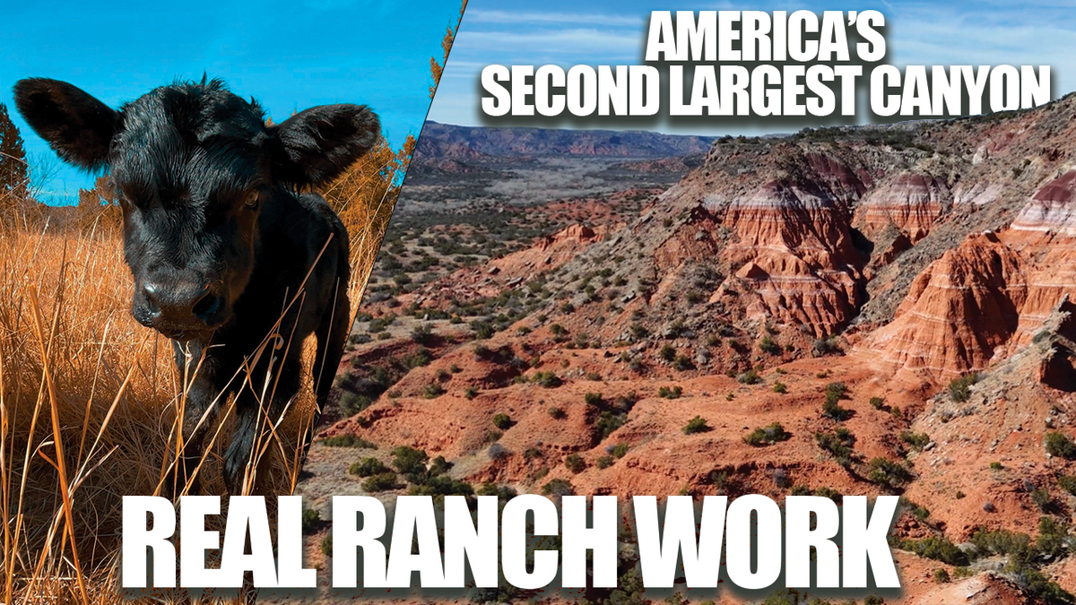 Running 3 Ranch What It Actually Takes to Keep a Texas Ranch Running